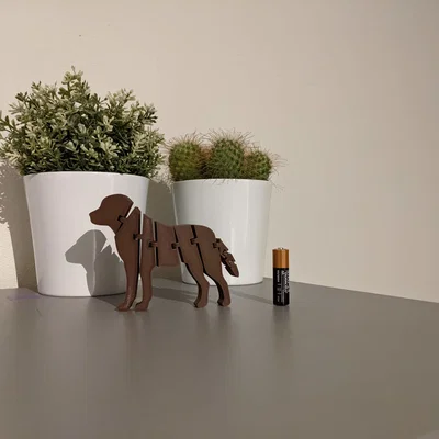 Chú chó Labrador linh hoạt (Flexi Labrador)
