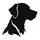 Divemaster