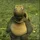 RobK_170912