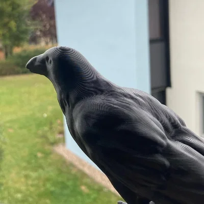 Mô hình con quạ (Crow) có sẵn support