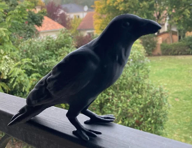 Mô hình con quạ (Crow) có sẵn support - Image 2