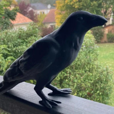 Mô hình con quạ (Crow) có sẵn support