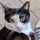 DanielColson_419818