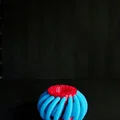 Spiral Sensory Ring - Vòng Xoay Cảm Giác Độc Đáo - Thumbnail 5