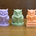 Cú Thông Thái Đọc Sách - Wise Owl Reading Buddy 3/3 - Thumbnail 1