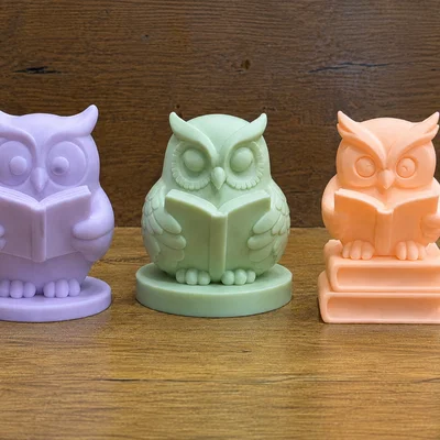 Cú Thông Thái Đọc Sách - Wise Owl Reading Buddy 3/3