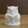 Cú Thông Thái Đọc Sách - Wise Owl Reading Buddy 3/3 - Thumbnail 2