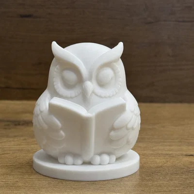 Cú Thông Thái Đọc Sách - Wise Owl Reading Buddy 3/3