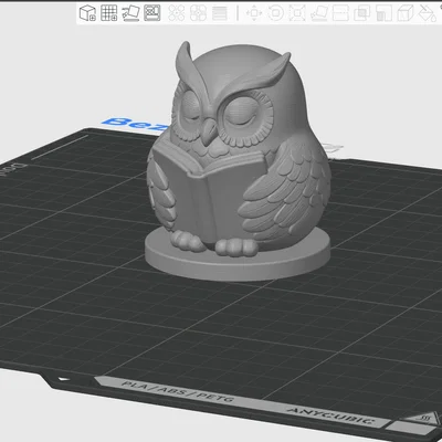 Cú Thông Thái Đọc Sách - Wise Owl Reading Buddy 3/3