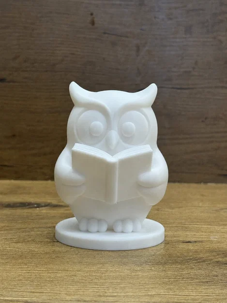 Cú Mèo Thông Thái Wise Owl Reading Buddy 1/3 - Image 1