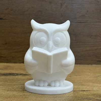 Cú Mèo Thông Thái Wise Owl Reading Buddy 1/3