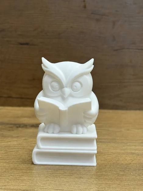 Mô hình Cú Thông Thái Đọc Sách - Wise Owl Reading Buddy - Image 1