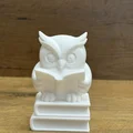 Mô hình Cú Thông Thái Đọc Sách - Wise Owl Reading Buddy - Thumbnail 1