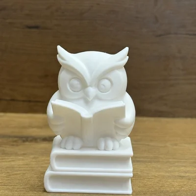 Mô hình Cú Thông Thái Đọc Sách - Wise Owl Reading Buddy