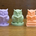 Mô hình Cú Thông Thái Đọc Sách - Wise Owl Reading Buddy - Thumbnail 3