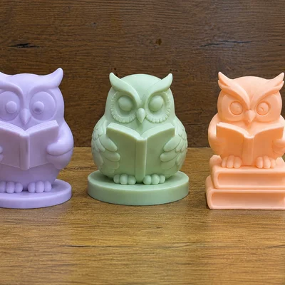 Mô hình Cú Thông Thái Đọc Sách - Wise Owl Reading Buddy