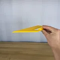 Tấm chắn sơn (Paint Shield / Paint Guard) - Thumbnail 2