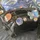 Janro_509220