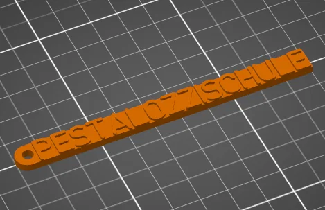 Móc khóa in 3D tên trường Pestalozzi (Schlüsselanhänger Pestalozzischule) - Image 1