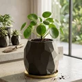 Hộp đựng đa năng đa giác Low-poly. Chậu cây/Bình hoa hiện đại phong cách geometric - Thumbnail 5