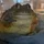 kellen_4047270