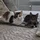 Tavisto_224475
