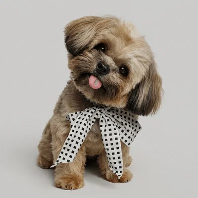 Mô hình 3D Chú Chó Shih Tzu đáng yêu - File STL in 3D chất lượng