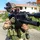 sydaio_2326745
