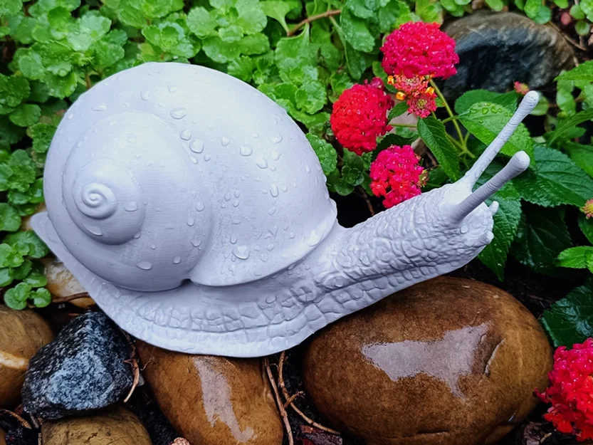 Mô hình ốc sên Explorer Snail - Image 2