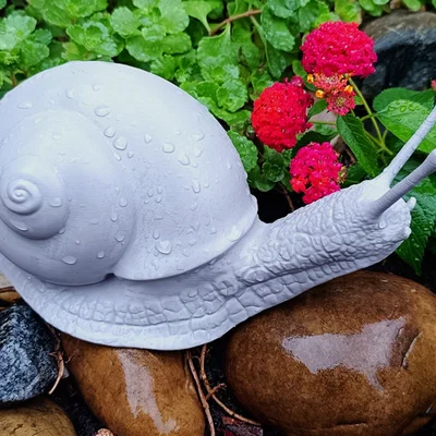 Mô hình ốc sên Explorer Snail