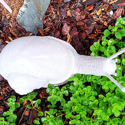 Mô hình ốc sên Explorer Snail