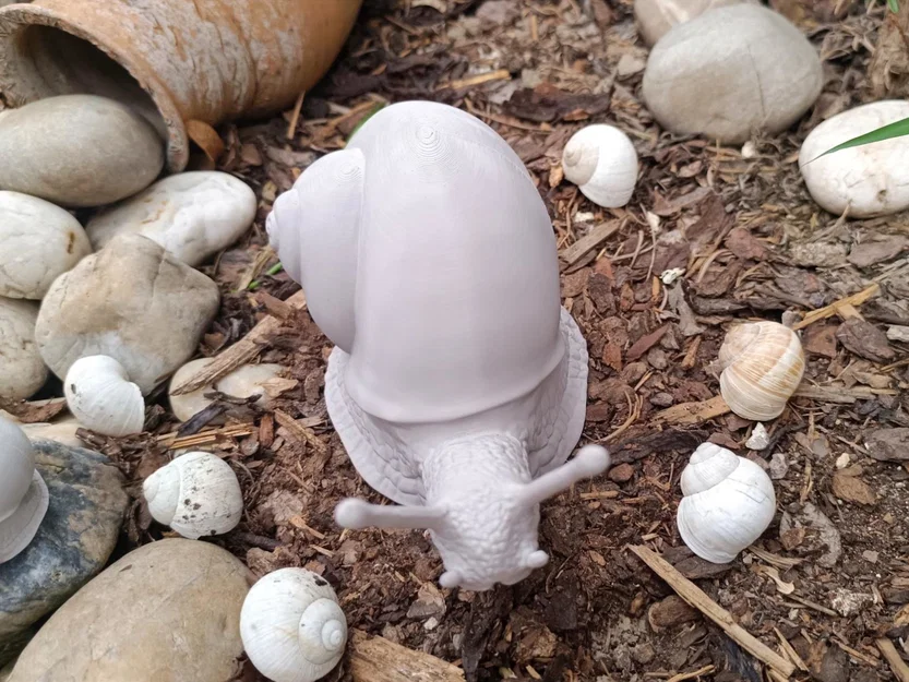 Mô hình ốc sên Explorer Snail - Image 4