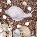 Mô hình ốc sên Explorer Snail - Thumbnail 5