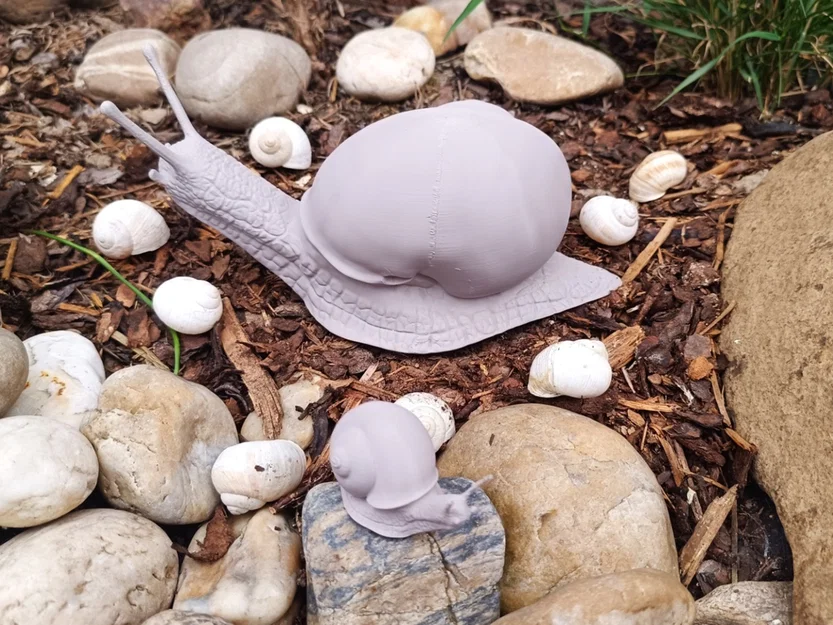 Mô hình ốc sên Explorer Snail - Image 6