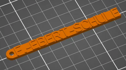 Móc khóa in 3D Friedrich-Ebert-Schule thiết kế nhỏ gọn - Image 1