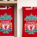 Giá treo khăn choàng (Scarf display) - Thumbnail 1