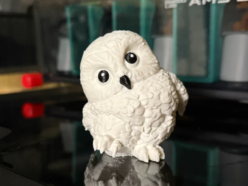 Mô hình cặp đôi cú 3D dễ thương (lấy cảm hứng từ Harry Potter) - Image 2