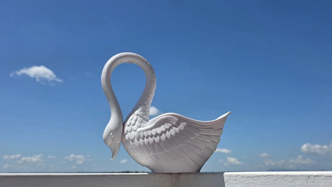 Tô hình thiên nga (Swan bowl) - Image 1