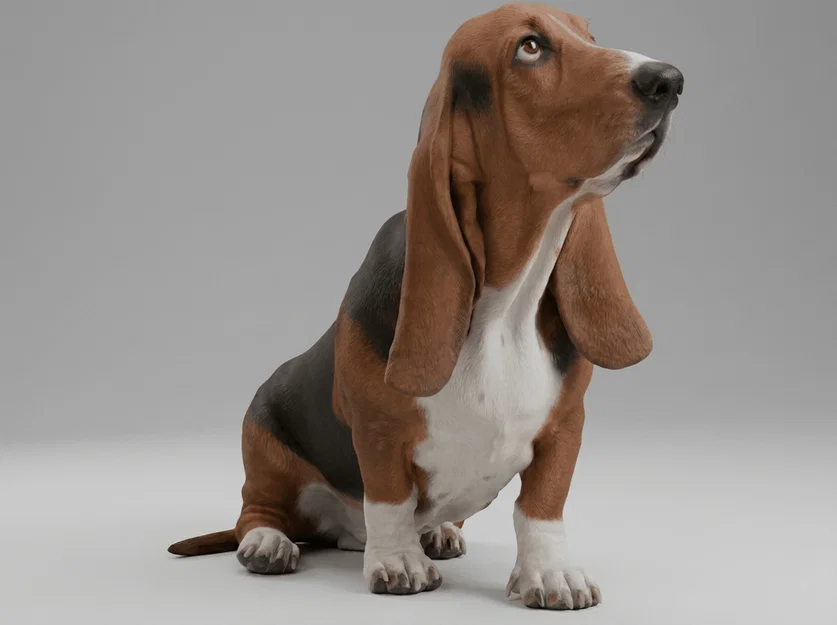 Mô hình chú chó Basset Hound trang trí in 3D độc đáo - Image 1