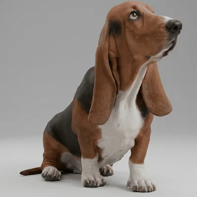 Mô hình chú chó Basset Hound trang trí in 3D độc đáo