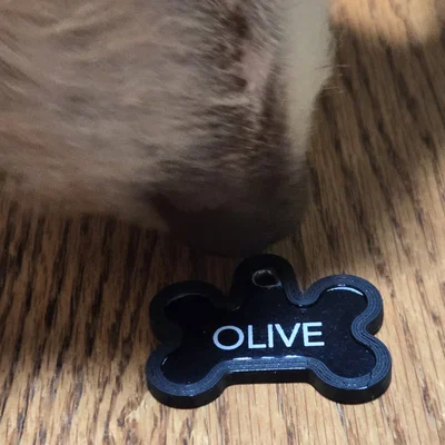 Miếng bọc thẻ định danh chó (Dog Tag Cover)