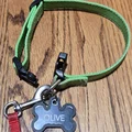 Miếng bọc thẻ định danh chó (Dog Tag Cover) - Thumbnail 6