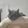 KelvinLee_1729457