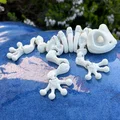 Mô hình ếch xương linh hoạt Articulated Skeleton Frog (in 3D) - Thumbnail 2