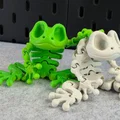 Mô hình ếch xương linh hoạt Articulated Skeleton Frog (in 3D) - Thumbnail 4