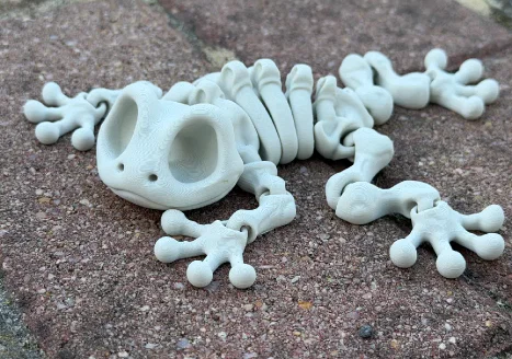 Mô hình ếch xương linh hoạt Articulated Skeleton Frog (in 3D) - Image 5