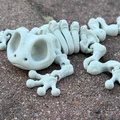 Mô hình ếch xương linh hoạt Articulated Skeleton Frog (in 3D) - Thumbnail 5