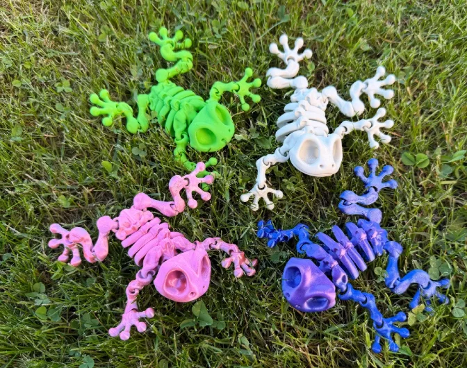 Mô hình ếch xương linh hoạt Articulated Skeleton Frog (in 3D) - Image 6