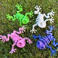 Mô hình ếch xương linh hoạt Articulated Skeleton Frog (in 3D) - Thumbnail 6