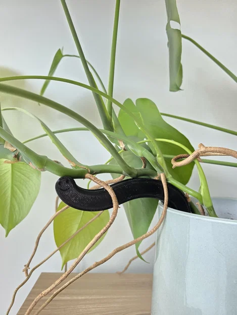 Phụ kiện đỡ cây Monstera hình chú sâu (Plant Support Worm) in 3D - Image 1